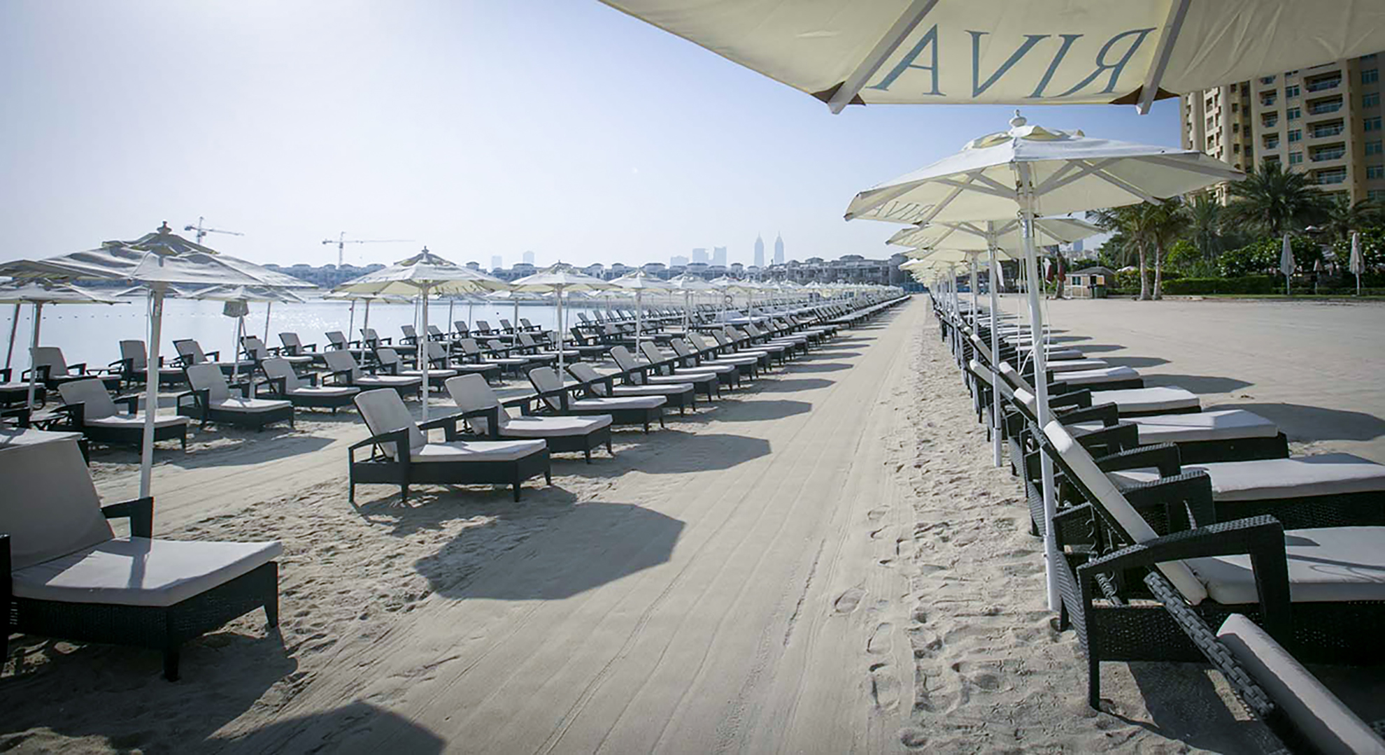 Morning desert safari with private beach and pool access in Dubai