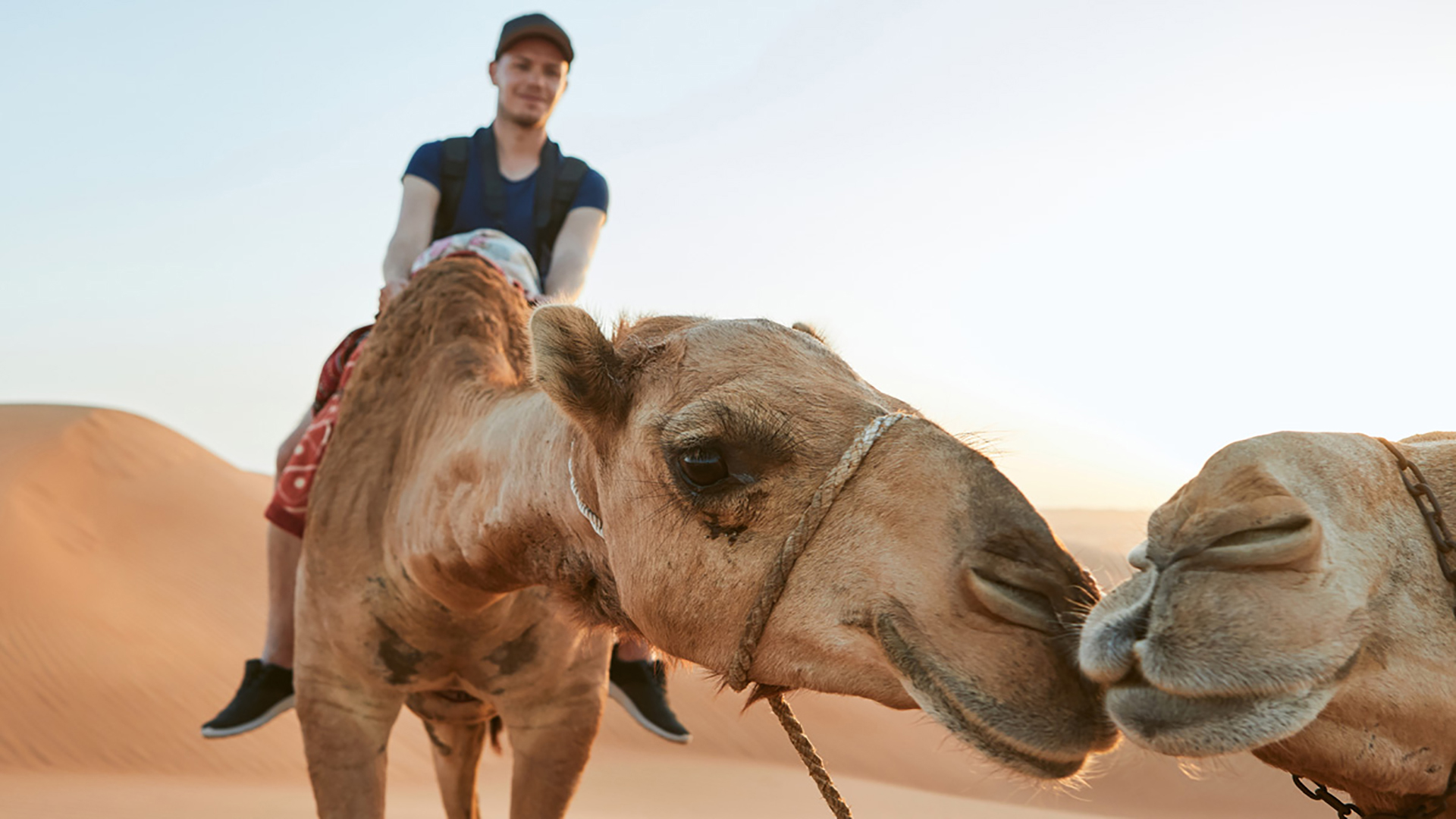 Dubai Red Dune Safari with Quad Bike, Camel Ride & Sandboard