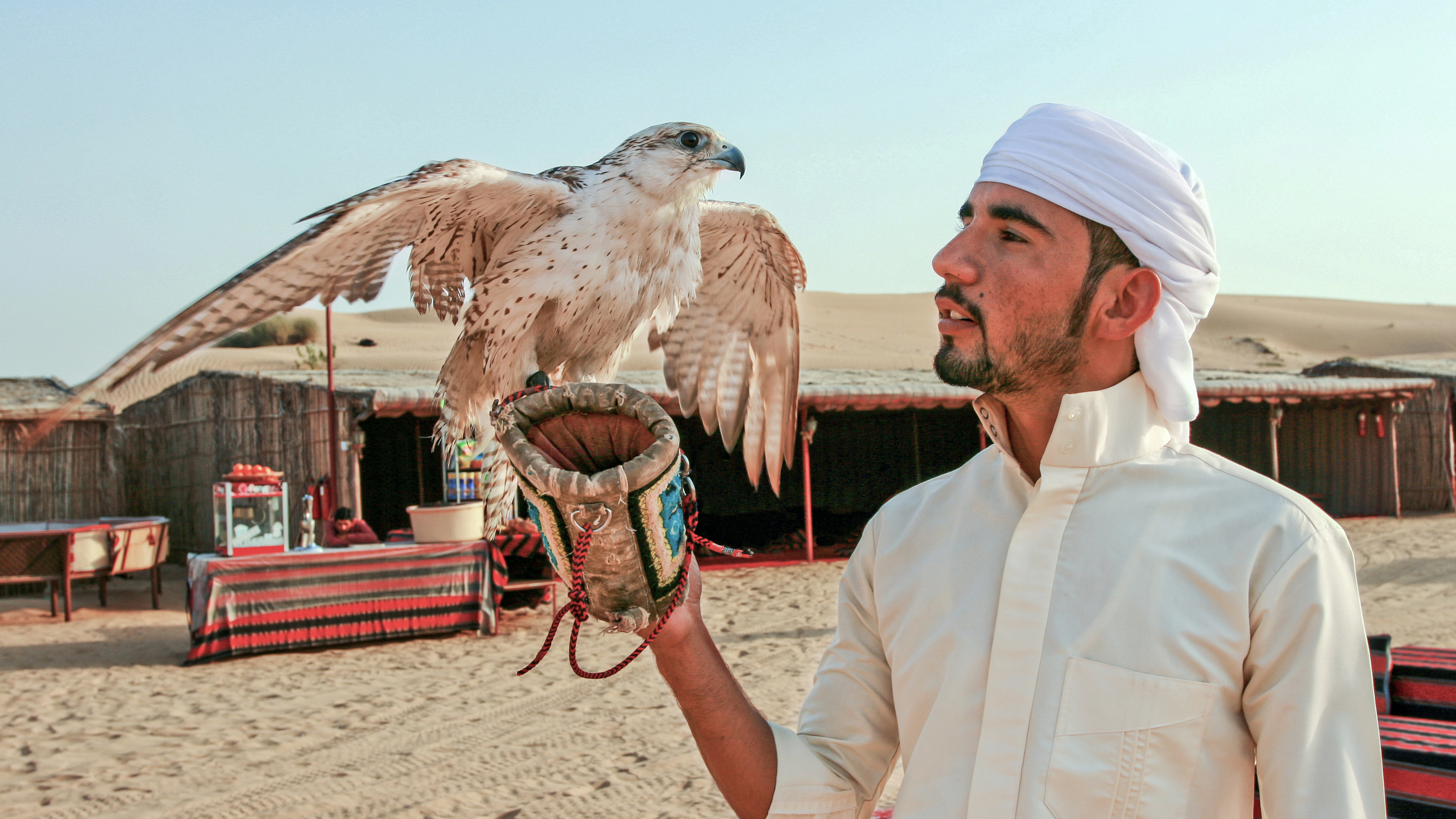 Camel ride in the red dunes of Dubai during a premium safari experience